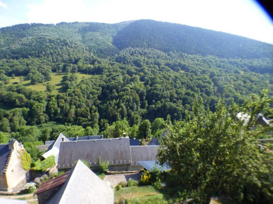 Maison Familiale Pour 8 Saint-Aventin 外观 照片